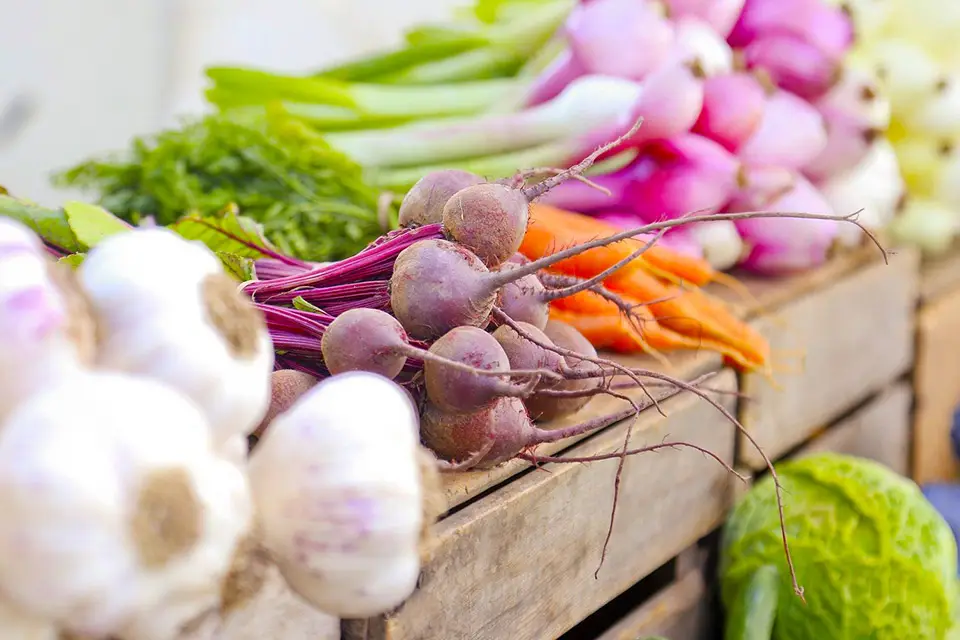 Eating for the Season: Why Local Food Tastes Better, and What It Means to Shop Differently