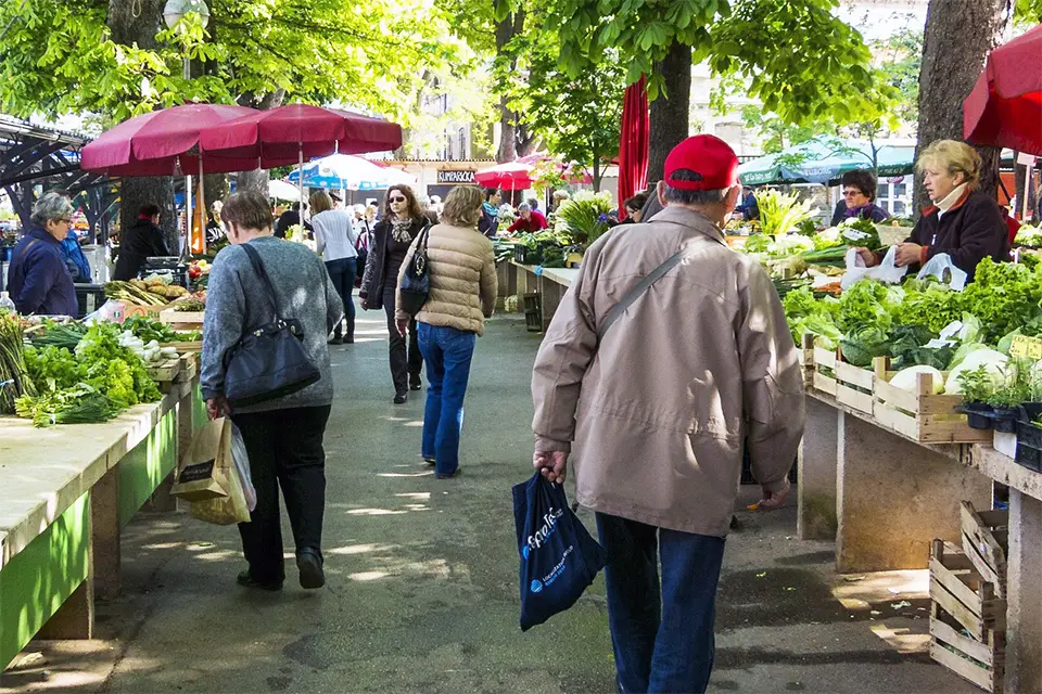 Lessons from the Market Hesitant