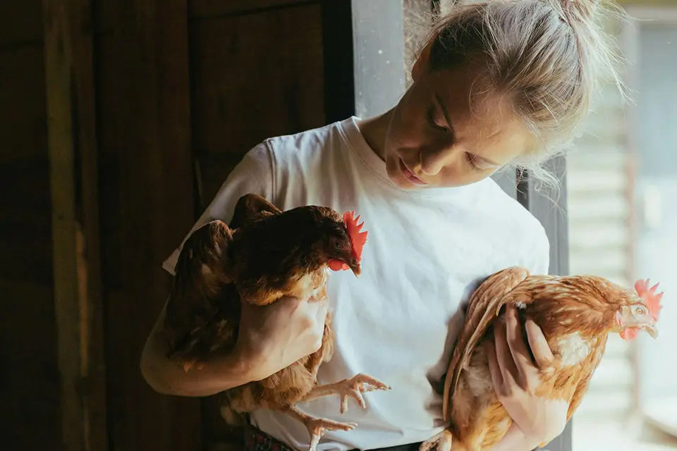 Starting Out: The Real Challenges of New Farming (and How to Work Through Them)