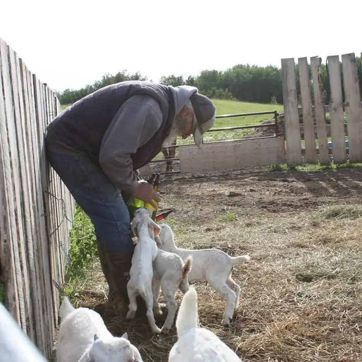 Grandpa Carson's Farm