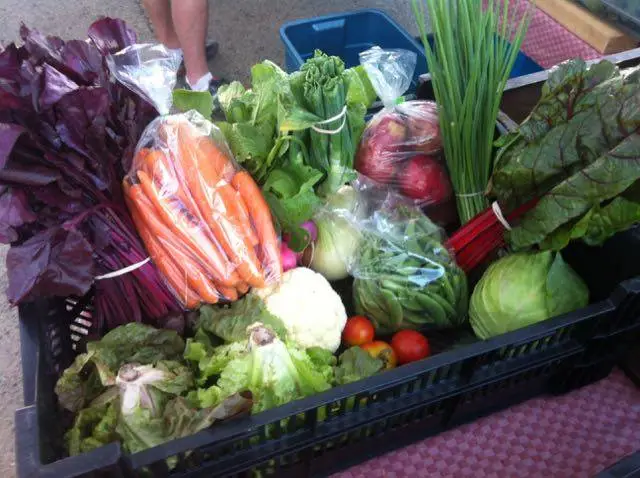 Sparrow's Nest Regenerative Farm