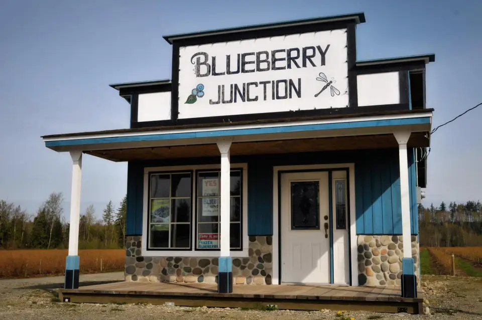 Blueberry Junction
