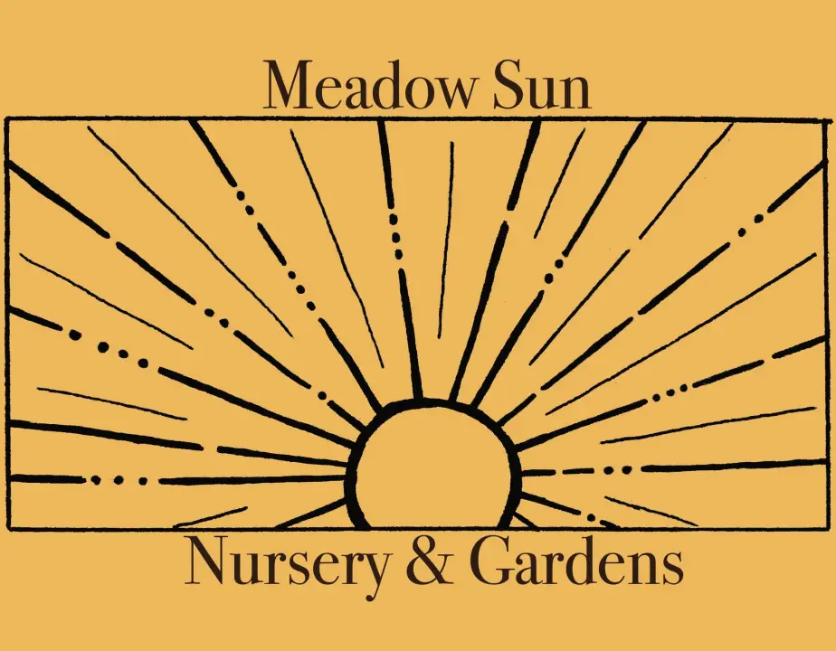 Meadow Sun Nursery and Gardens