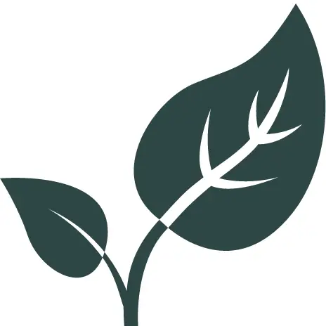 Simpler Thyme Organic Farm