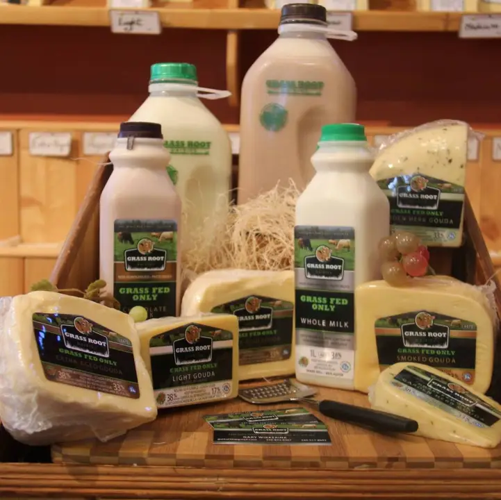 Grass Roots Dairies