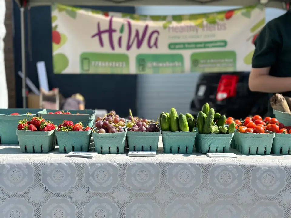 Hiwa Healthy Herbs Inc.