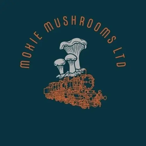Moxie Mushrooms