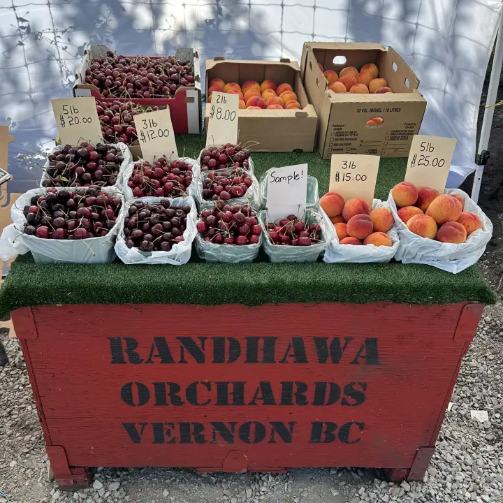 Randhawa Orchards