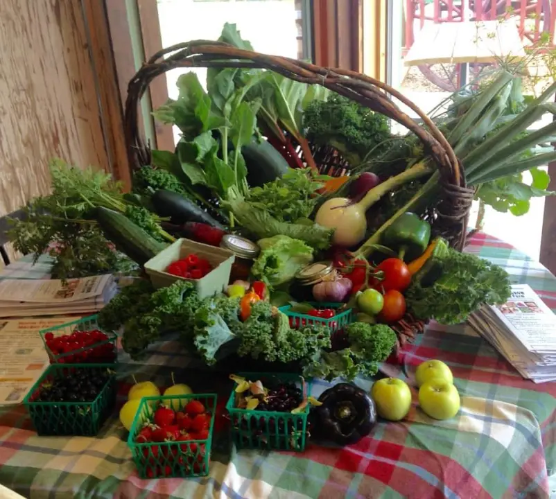 Room To Grow Market Farm