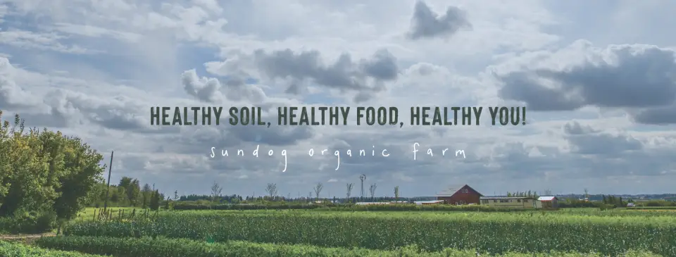 Sundog Organic Farm