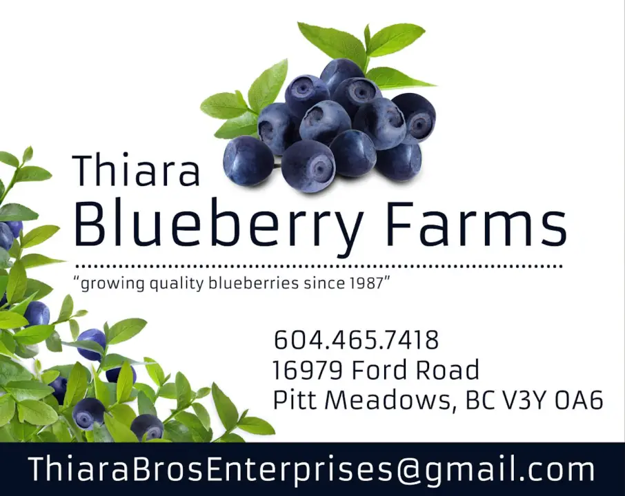 Thiara Blueberry Farms