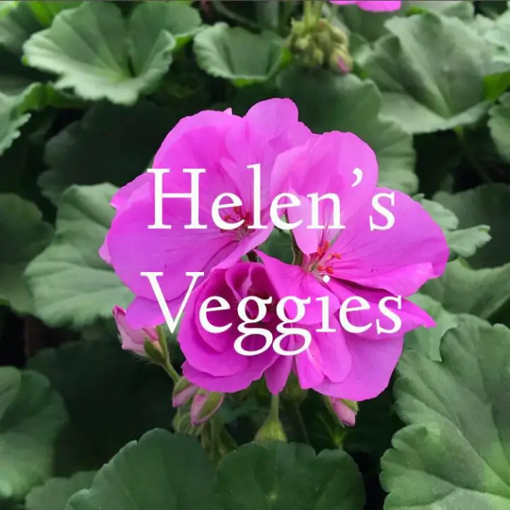 Helen's Veggies