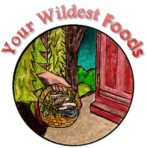 Your Wildest Foods