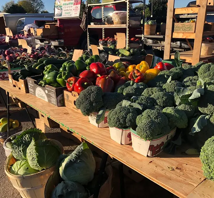 Bailey Farm and Greenhouses