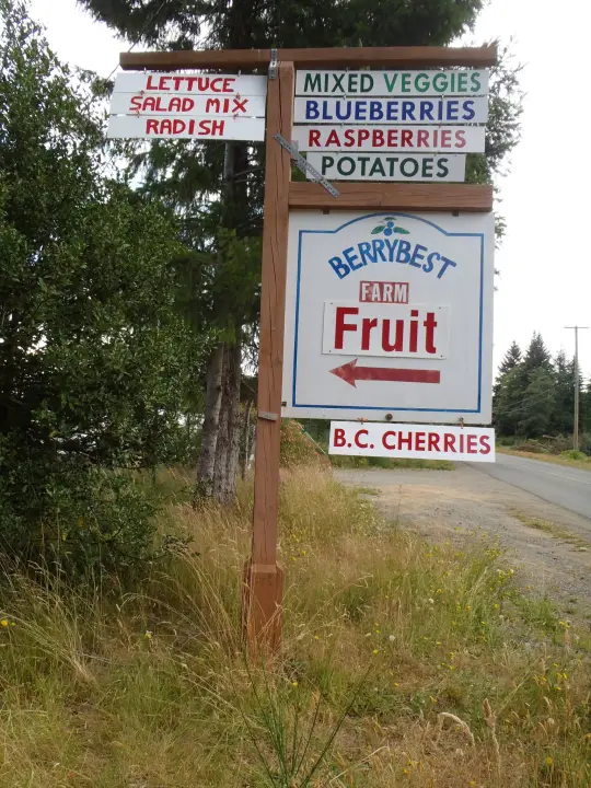 Berry Best Organic Farm