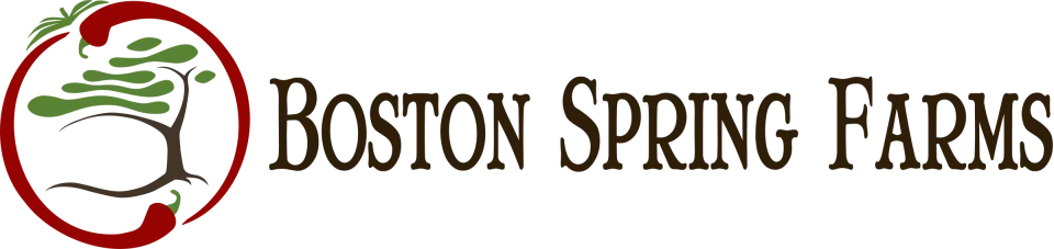 Boston Springs Farms