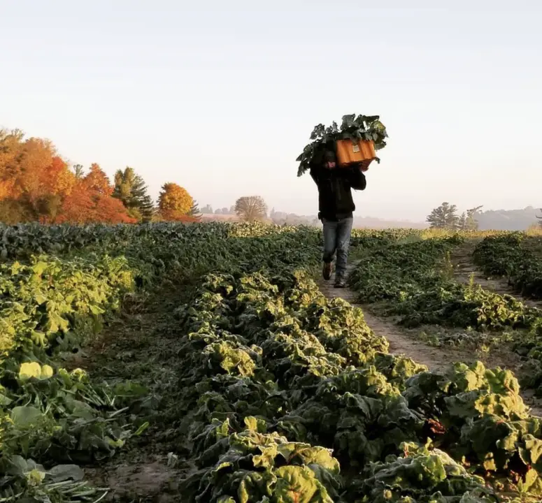 Circle Organic