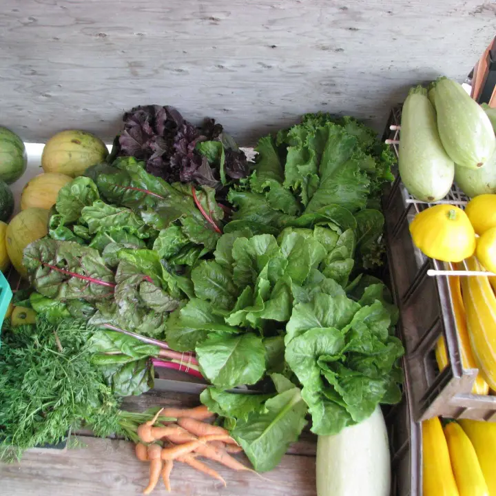 Devon Acres Organic Farm