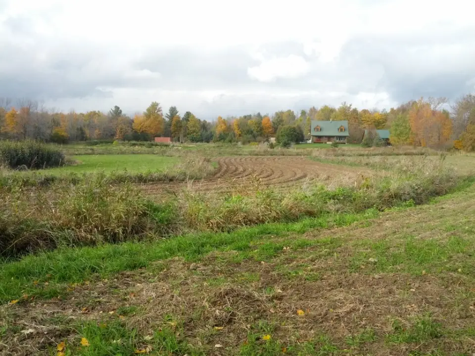 Edible Forest Farm