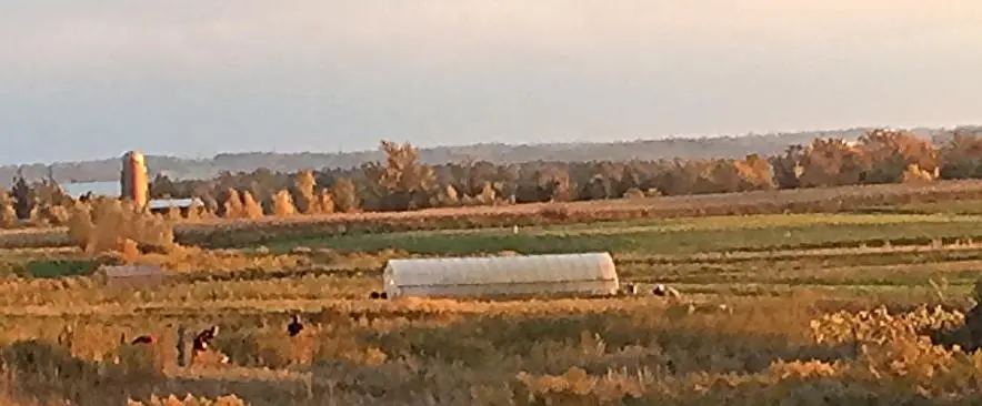 Hendry Farms