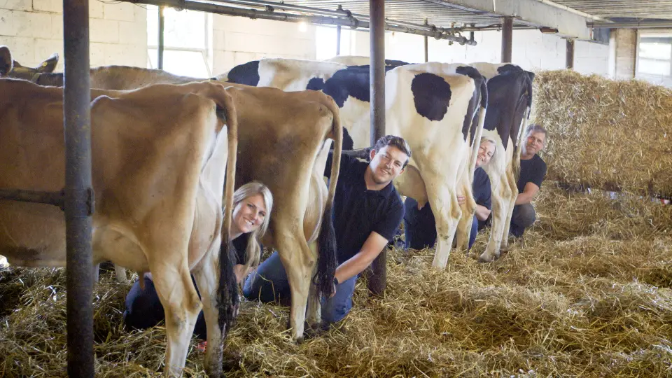 Limestone Organic Creamery