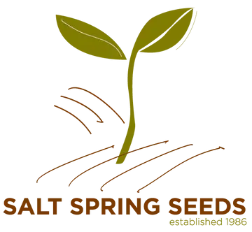 Salt Spring Seeds