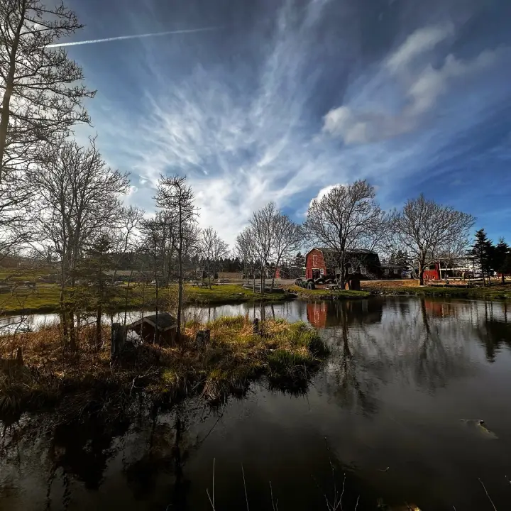 Lester's Farm Chalet