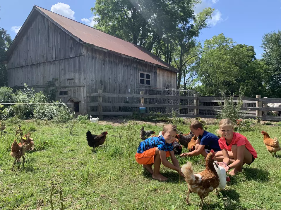 Arnold Family Farms