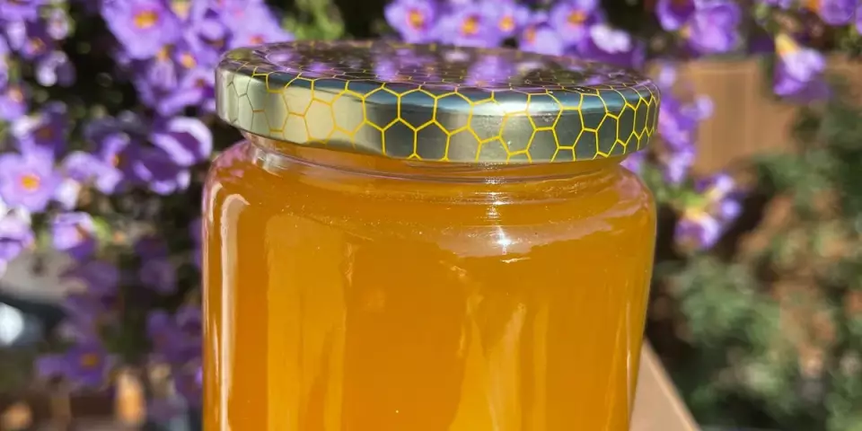 Brambles 'n Bees