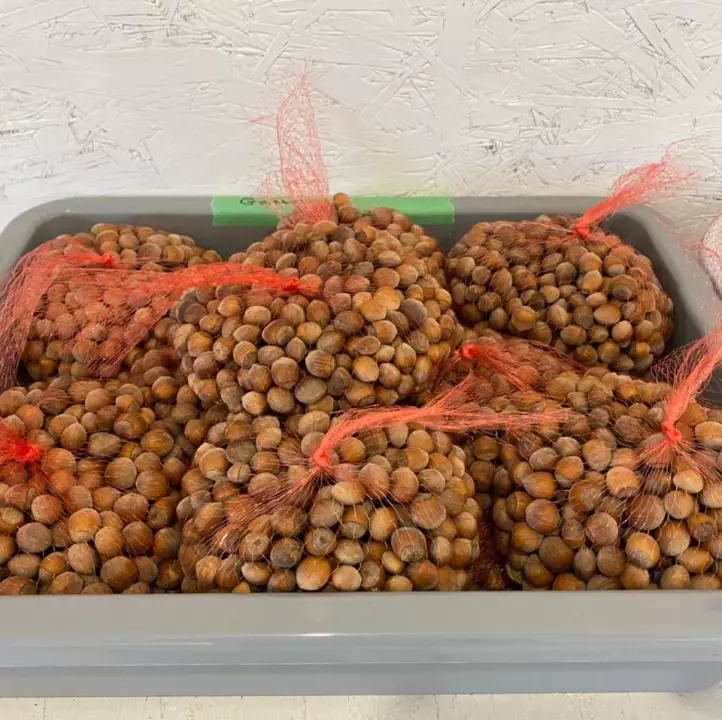 Brillinger Nut Farm