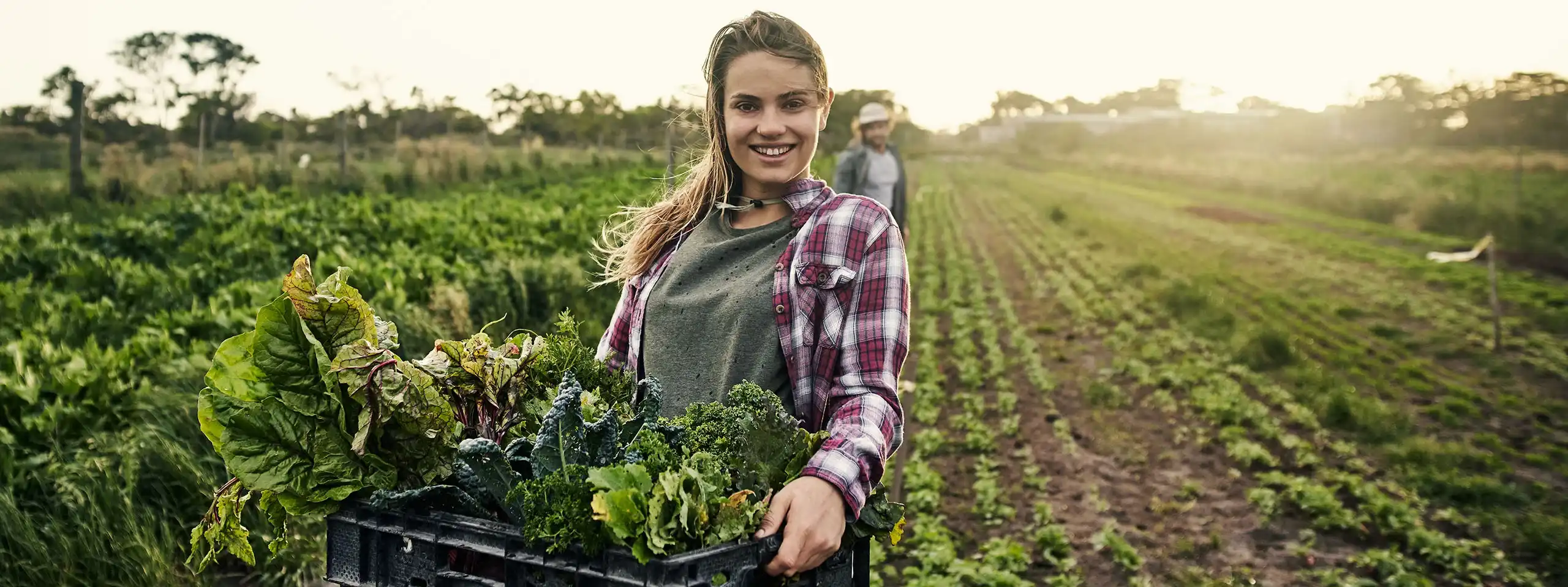  Local food in Victoria, British Columbia 